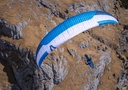 SKYWALK Mint.