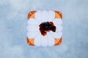 SKYWALK Pepper Cross Light 2