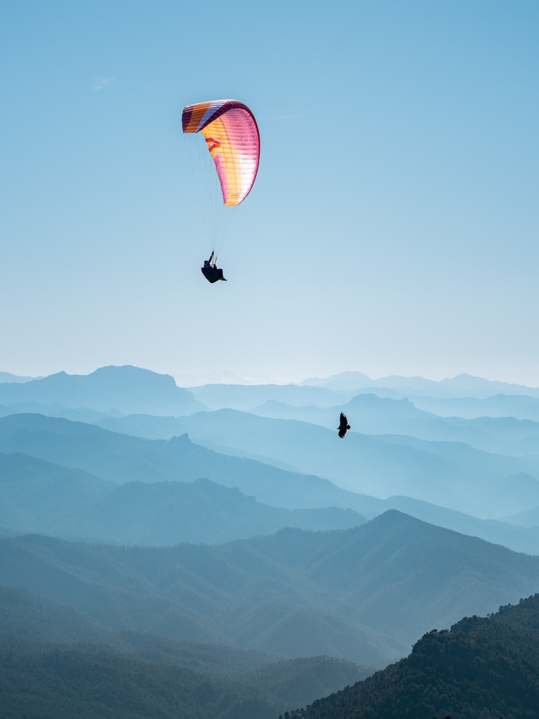 SKYWALK Masala 4 70+ orange | 6